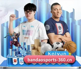 半岛体育 APP(BANDAO SPORTS)